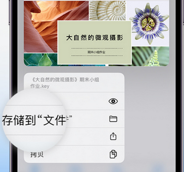 贵港apple维修中心分享iPhone文件应用中存储和找到下载文件