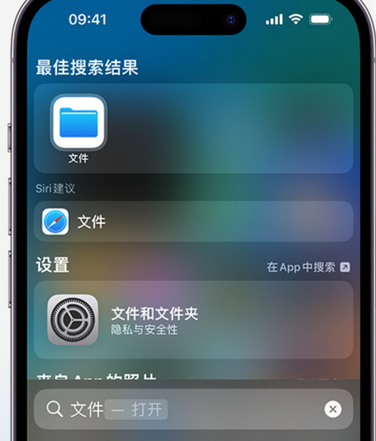 贵港apple维修中心分享iPhone文件应用中存储和找到下载文件