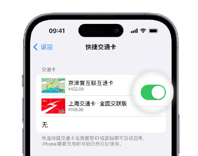 贵港apple维修点分享iPhone上更换Apple Pay快捷交通卡手绘卡面 