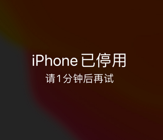 贵港苹果手机维修分享:iPhone 显示“不可用”或“已停用”怎么办？还能保留数据吗？ 