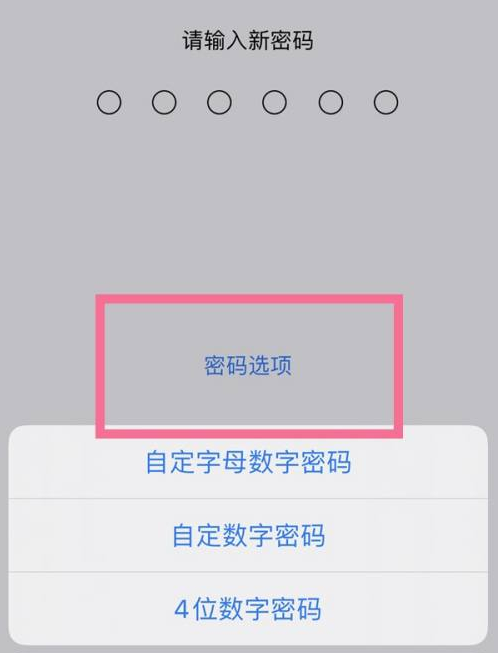 贵港苹果14维修分享iPhone 14plus设置密码的方法 