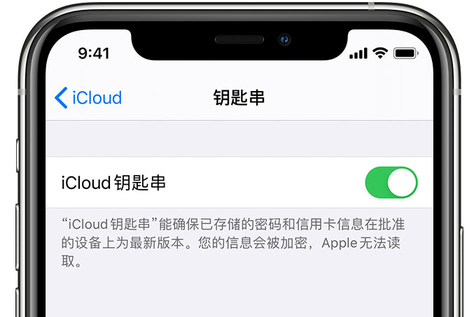 贵港苹果手机维修分享在 iPhone 上开启 iCloud 钥匙串之后会储存哪些信息 