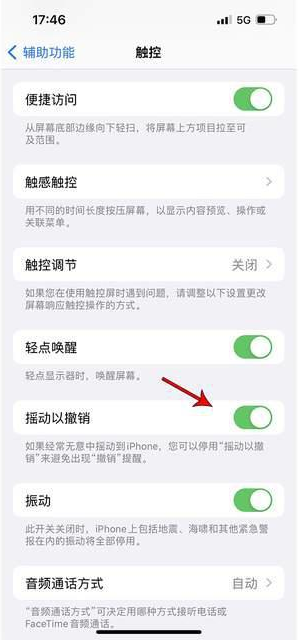 贵港苹果手机维修分享iPhone手机如何设置摇一摇删除文字 